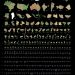 Visualizing the Total Land Surface Area of Earth: A Comparative Analysis of Countries and Regions