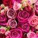 Alone on Valentine’s Day? 11 Ways to Enjoy the Day When You’re Single