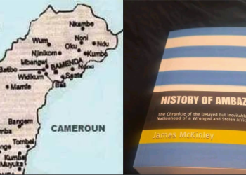 The ICJ-2002 Ruling: Understanding the Cameroon-Nigeria Territorial Dispute and the Southern Cameroons Question