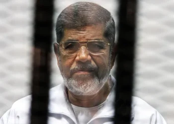 Mohamed Morsi Net Worth