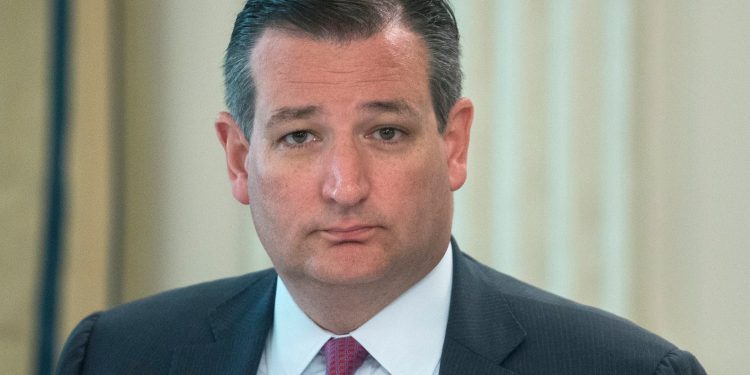 Ted Cruz Net Worth
