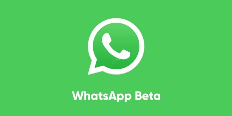 WhatsApp Testing Offline Message Translation Feature