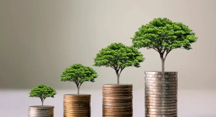 CIC Wealth Fund