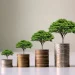 CIC Wealth Fund