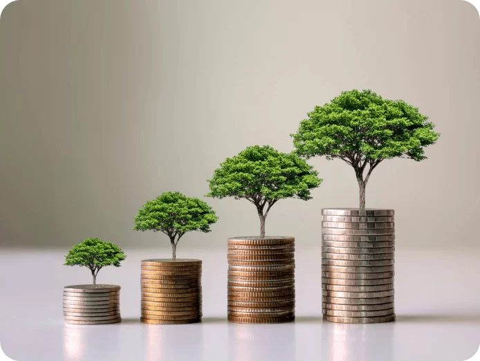 CIC Wealth Fund