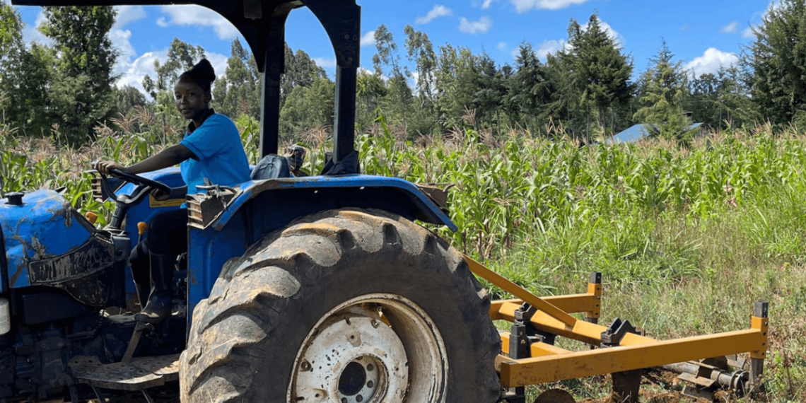 Organic Farming Methods in Kimilili