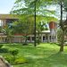 Best Performing Secondary Schools in Uganda