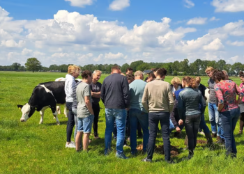 FrieslandCampina, ReGeNL, and Lidl Launch Regenerative Agriculture Pilot in the Netherlands