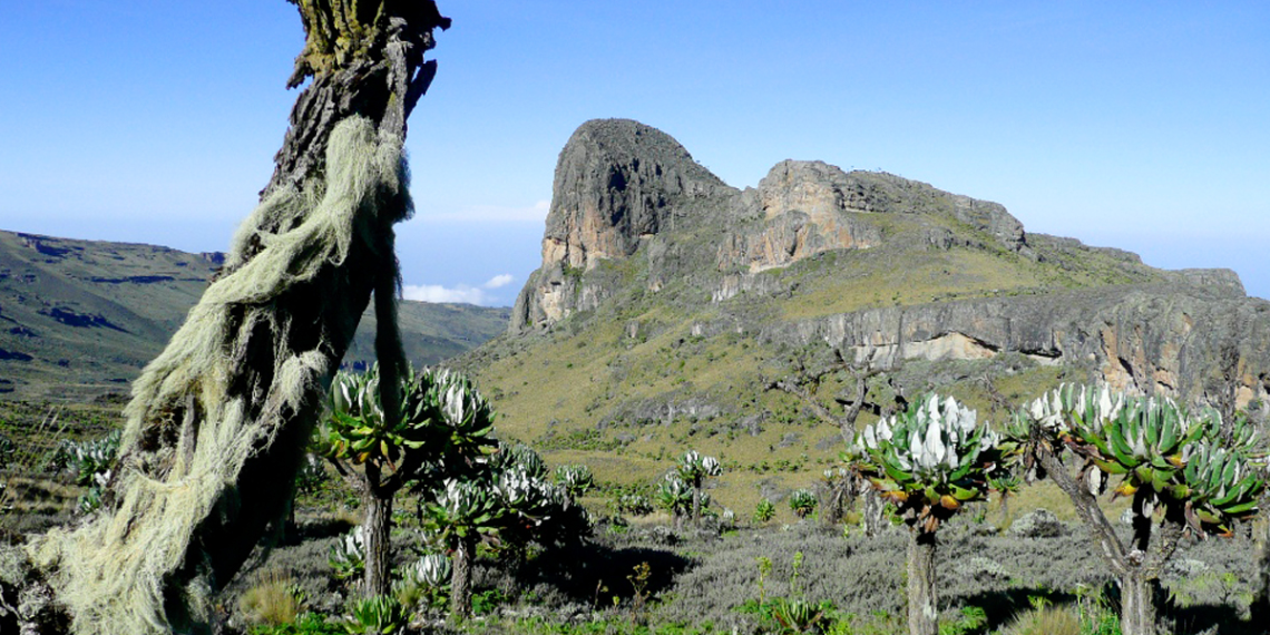 Mount Elgon National Park