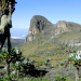 Mount Elgon National Park