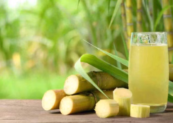 Sugarcane
