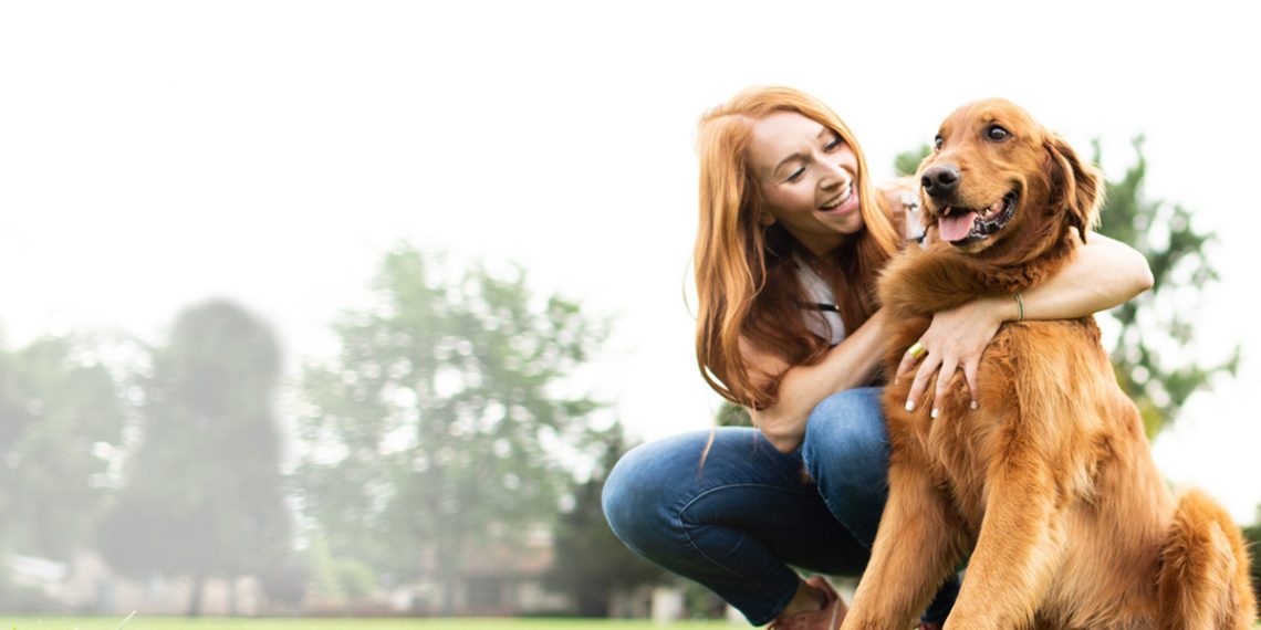 Best Pet Insurance Plans for American Pet Owners