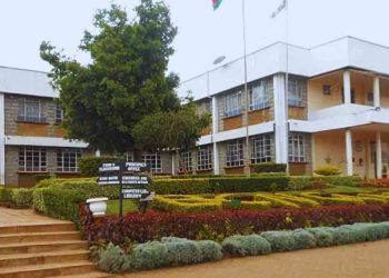 Bishop Gatimu Ngandu Girls Alumni Making Kenya Proud