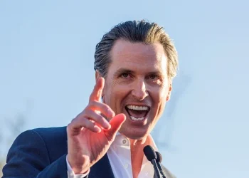 Gavin Newsom Net Worth