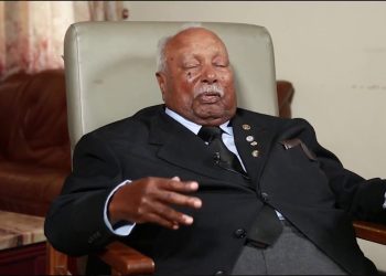 Girma Wolde-Giorgis Net Worth