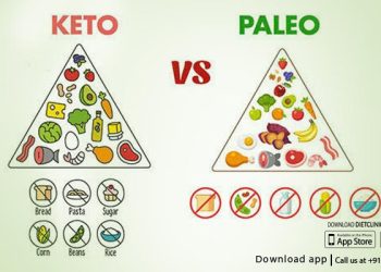 Keto vs Paleo: Which Diet Is Better for You?