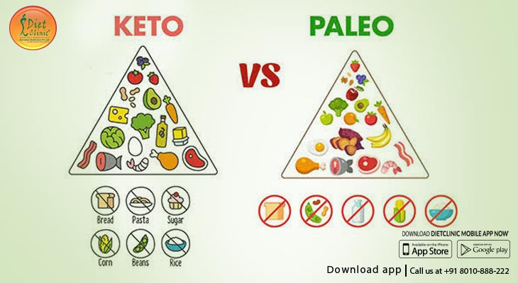 Keto vs Paleo: Which Diet Is Better for You?