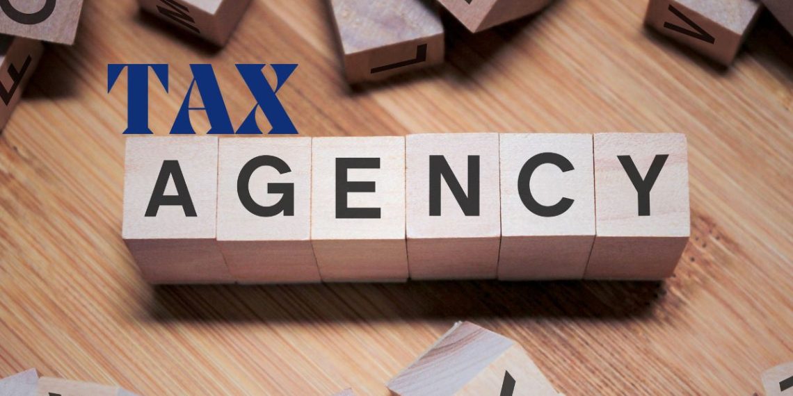 Do You Understand the Role of Your Tax Agent?