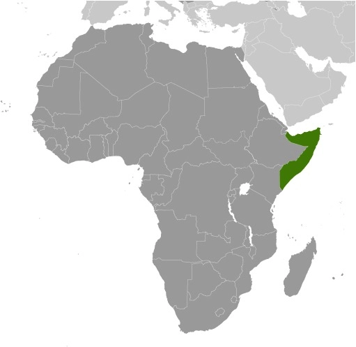 Somalia map in Africa