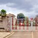 Kenya High School Alumni Transforming Kenya & Beyond
