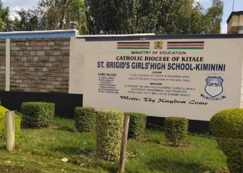 How Kiminini Became Trans Nzoia’s Second Largest Town