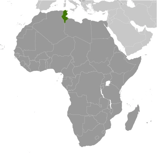 Tunisia map in Africa