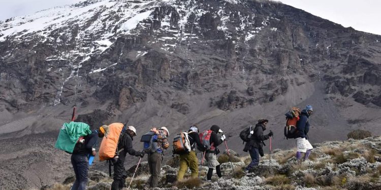 Best Hiking Gear Shops in Nairobi (2026)