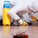 Pest Control Services in Kenya