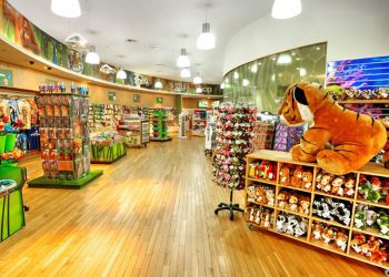 Best Gift Shops in Kisumu for Every Occasion