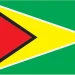 Flag of Guyana
