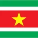 Flag of Suriname