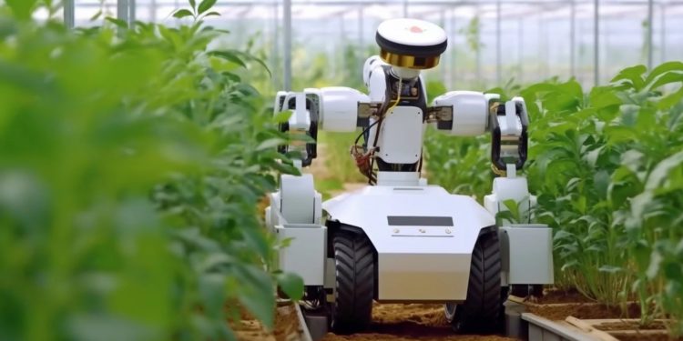 How AI Is Transforming Agriculture in Africa