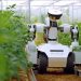 How AI Is Transforming Agriculture in Africa