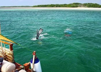 List of Marine National Parks in Kenya