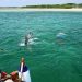 List of Marine National Parks in Kenya