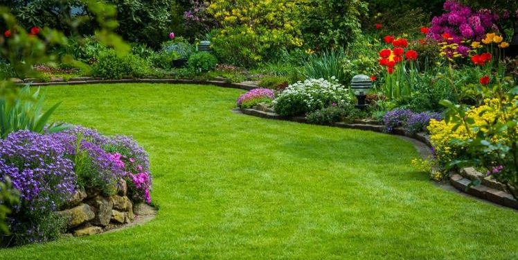 Garden Services in Kenya
