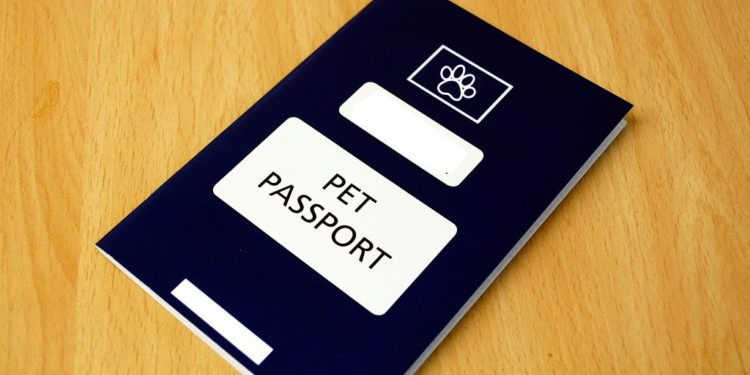 How to Get a Pet Passport in Timor-Leste for Import or Export