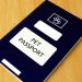 How to Get a Pet Passport in Timor-Leste for Import or Export