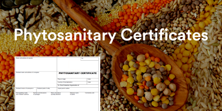 How to Apply for a Phytosanitary Certificate in Togo