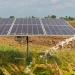 Solar Water Pump Prices in Kenya