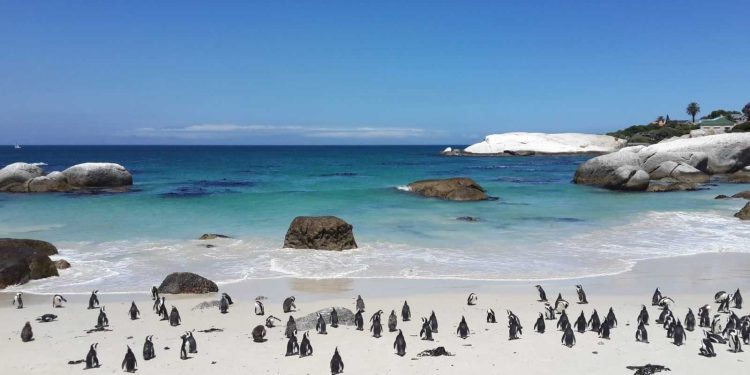 Things to Do in South Africa – 20 Top Attractions