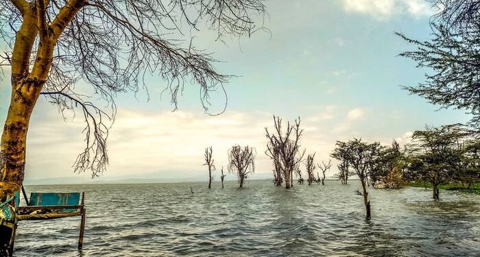 Floods Displace Hundreds as Lakes Naivasha and Baringo Burst Their Banks