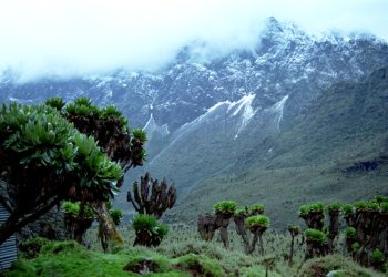 List of World Heritage Sites in Uganda