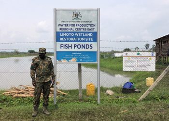 ISO Takes Over Wetland Fish Farming Project After Years of Stagnation