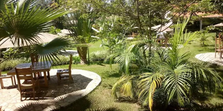 Wagga Resort: A Serene Getaway in the Heart of Mbarara, Uganda