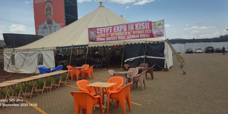 Egypt Expo in Kisii: Explore Egyptian Culture and Goods at Naivas Mall