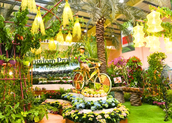 Top Gardening and Landscaping Services in Bahrain