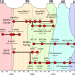 A Complete Guide to Wireless Network Technologies: From 0G to 6G