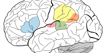 Language