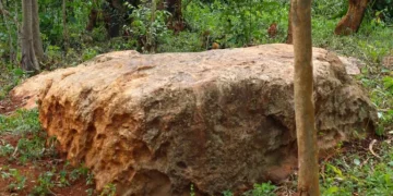 Bakhulo Shrines: A Gem of Namboboto